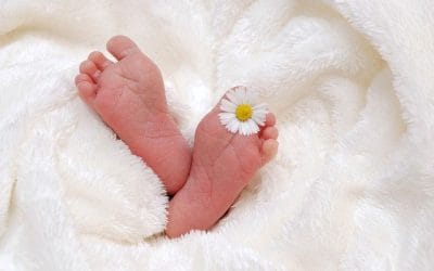 How to Apply PSA Birth Certificate Online | Birth Certificate Attestation Services