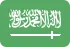 saudi-logo